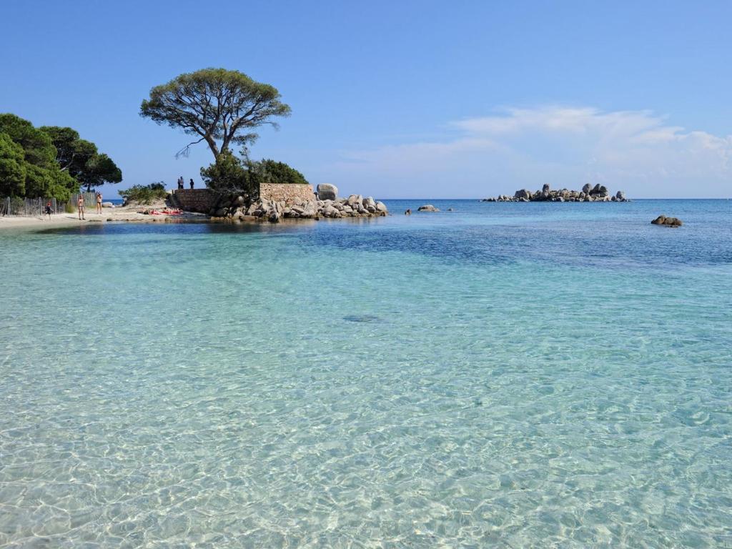 Private Hotel - Adult Only Porto-Vecchio  Eksteriør billede